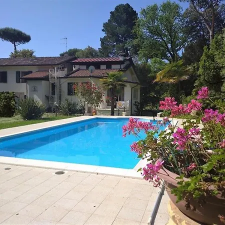 Pool Piscina *