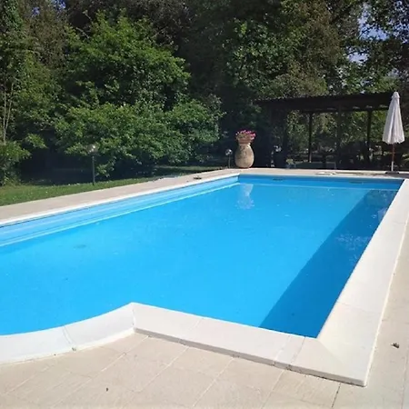 Pool Piscina Vila *