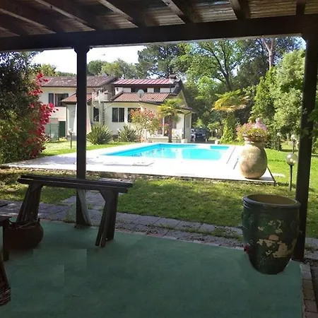 Pool Piscina *